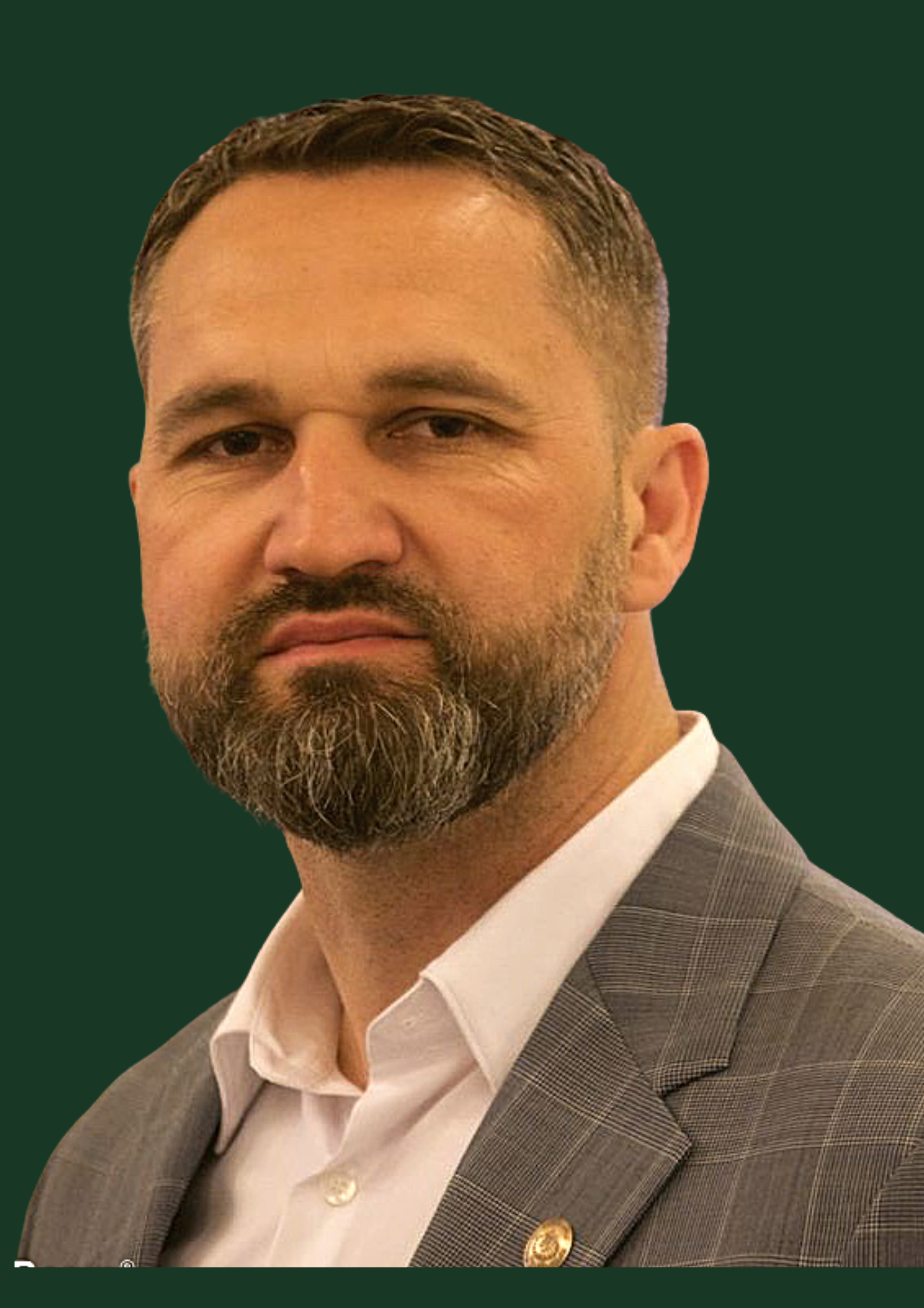 Portretul deputatului Mihai Lasca